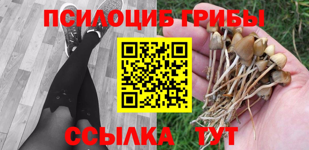 Псилоцибиновые грибы прущие грибы Рязань