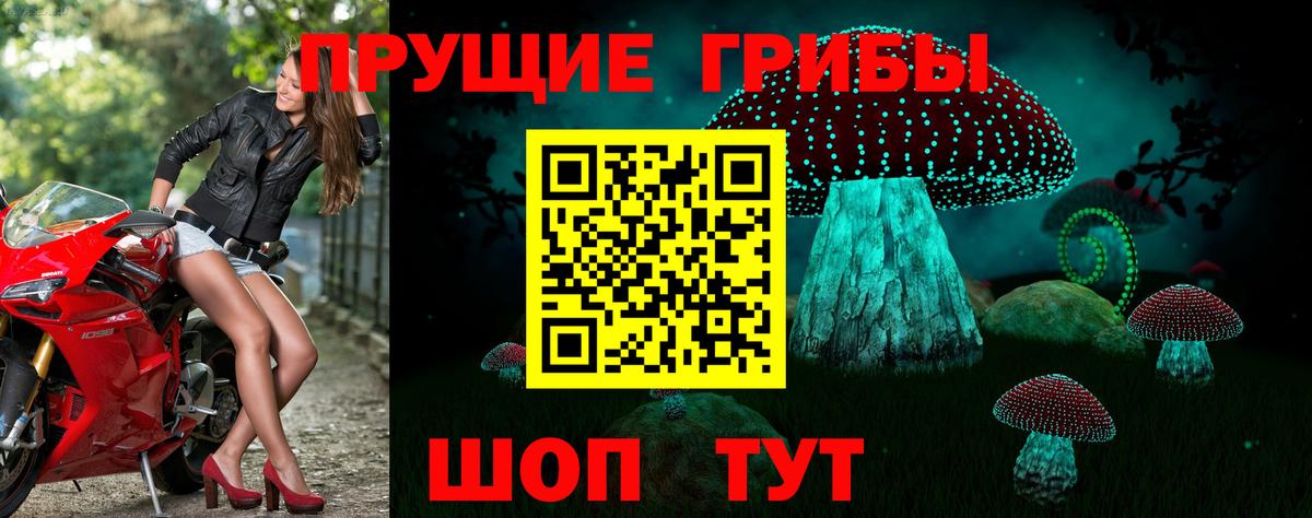 Галлюциногенные грибы GOLDEN TEACHER  Вход с VPN  Рязань 